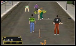 Street Cricket Street Cricket