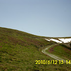 post-62-1276623465.jpg