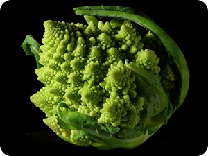 Fractal_Broccoli Fractal_Broccoli