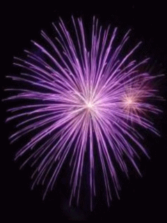 [Fireworks%255B4%255D.gif]