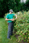 Sharkey, I think that Shaun will be BERRY happy that we took the initiative to prune.  LOL!!