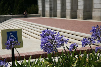 IMG_4406.JPG