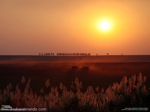 wallpapers national geographic desbaratinando (60) wallpapers national geographic desbaratinando (60)