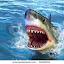 Posted via email from Musings of Manders Posted via email from Musings of Manders