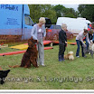 Pet Dogs 008.jpg