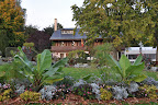 Park by Lac Leman
