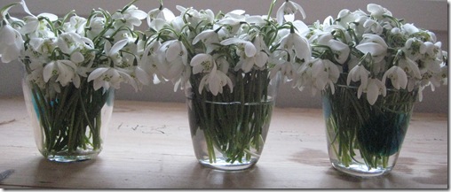 IMG_7830 IMG_7830