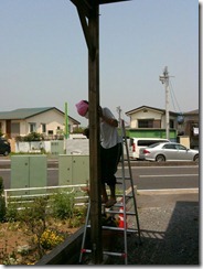 IMG_0882 IMG_0882