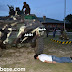Hubby trying out planking under an army tank in the 73rd Infantry Battalion grounds in Sarangani