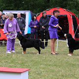 – BIK lørdag på Klubudstillingen 2011 – BIK lørdag på Klubudstillingen 2011