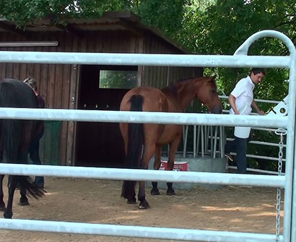 [20140905144959-%25281%2529%255B3%255D.jpg]