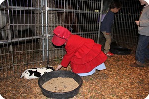IMG_0476e