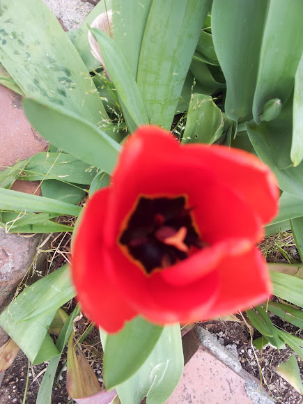 Spotting Image 1