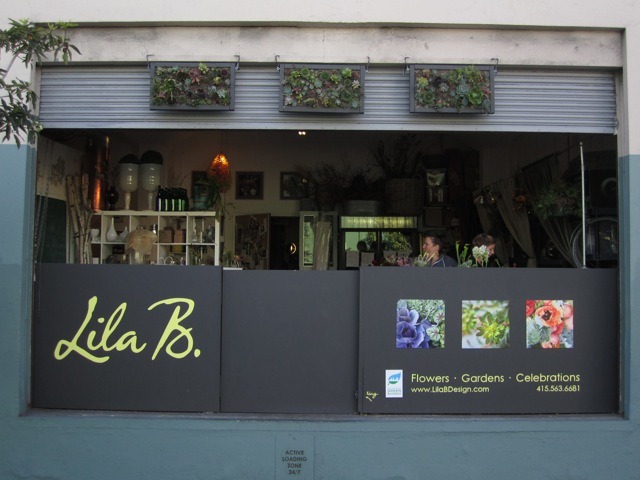 [lila%2520b2%2520img_1221%255B2%255D.jpg]