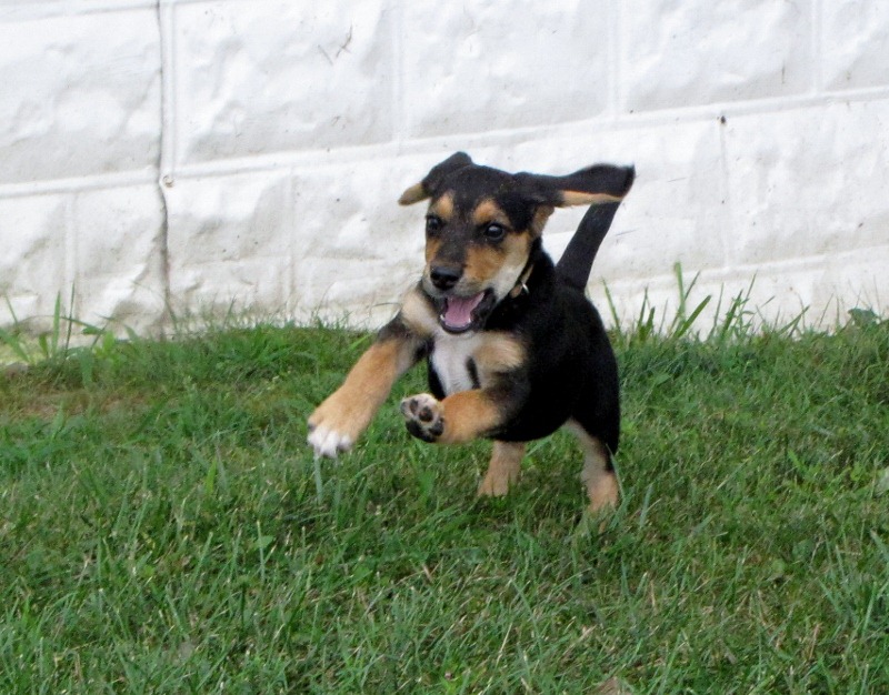 [IMG_5394%2520%2528800x626%2529%255B4%255D.jpg]
