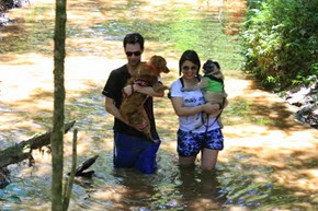 Pets 22 (12_1) (37) Pets 22 (12_1) (37)