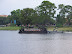 Disneyworld
