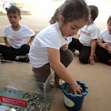 DSC01866.JPG