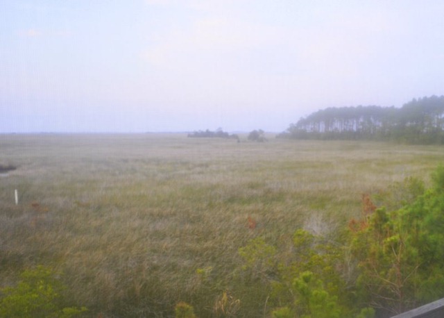 [_DSC0132%255B3%255D.jpg]
