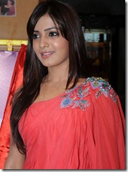 actress_samantha_in_saree_beautiful_pic
