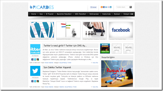 Blog Tanıtımı: Picardes