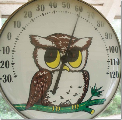 EnviroTex-Resin-Table-8