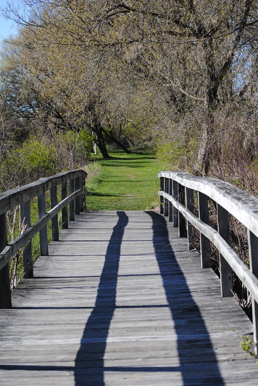 [241%255B5%255D.jpg]