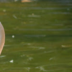 IMG_2787.JPG