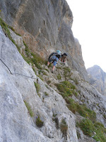 SAM_0367.JPG Photo