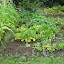 DSCN0510 (Small).jpg