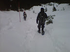 Hollyburn Peak (from cross country ski area)