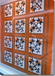 IMG_1573 IMG_1573