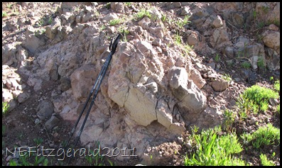 IMG_7775Breccia IMG_7775Breccia