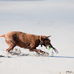 _MG_7037.jpg