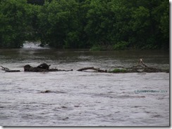 June 23 Flood 17