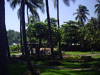 giardino fronte spiaggia