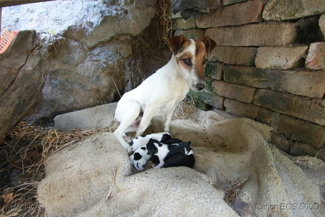 [IMG_8689%255B3%255D.jpg]