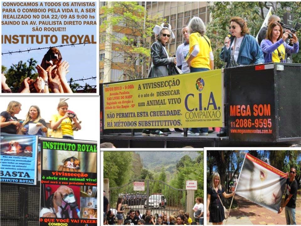 [Resgate-Royal%2520%25283%2529%255B3%255D.jpg]