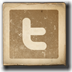twitter-300-n53332
