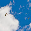 IMG_3034_edited-1.jpg
