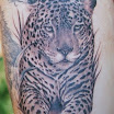 Leopard #5