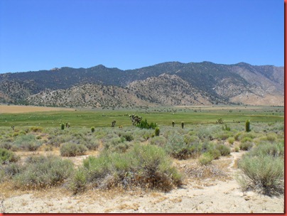 pics 008