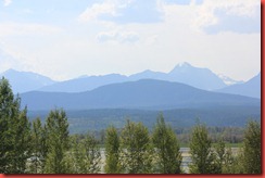 IMG_6774 IMG_6774