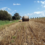 20100824_027_small.JPG