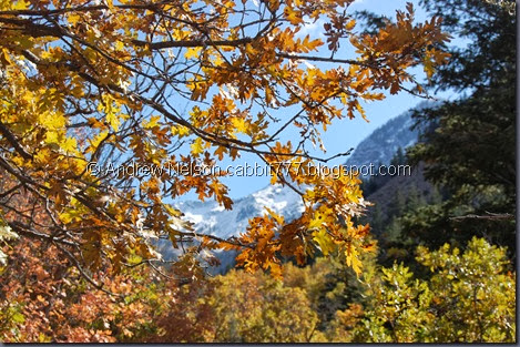 DSC_0514 DSC_0514