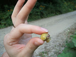 DSCF5454.JPG