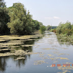 DSCN8315.JPG