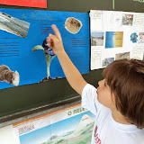 DSC05157.JPG