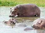 Chobe Nationalpark