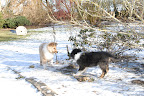 _DSC0116.JPG